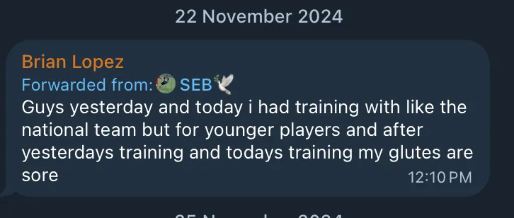 Total Footballer client result — November 2024, screenshot 2