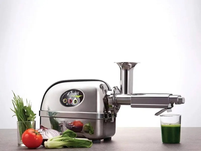 Cold-press juicer for celery and vegetable juice